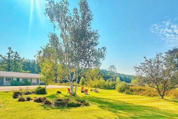 Property grounds - Room 4 - Prickly Pear double room (Manchester)