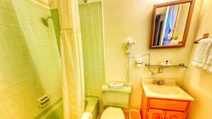 A bathroom with a green shower, a toilet, a sink, and a mirror. - Room 4 - Prickly Pear double room (Manchester)