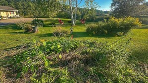 A grassy area with a large tree, red chairs, and a building in the background. - Zen 10, relax and retreat in the heart of Vermont (Manchester)