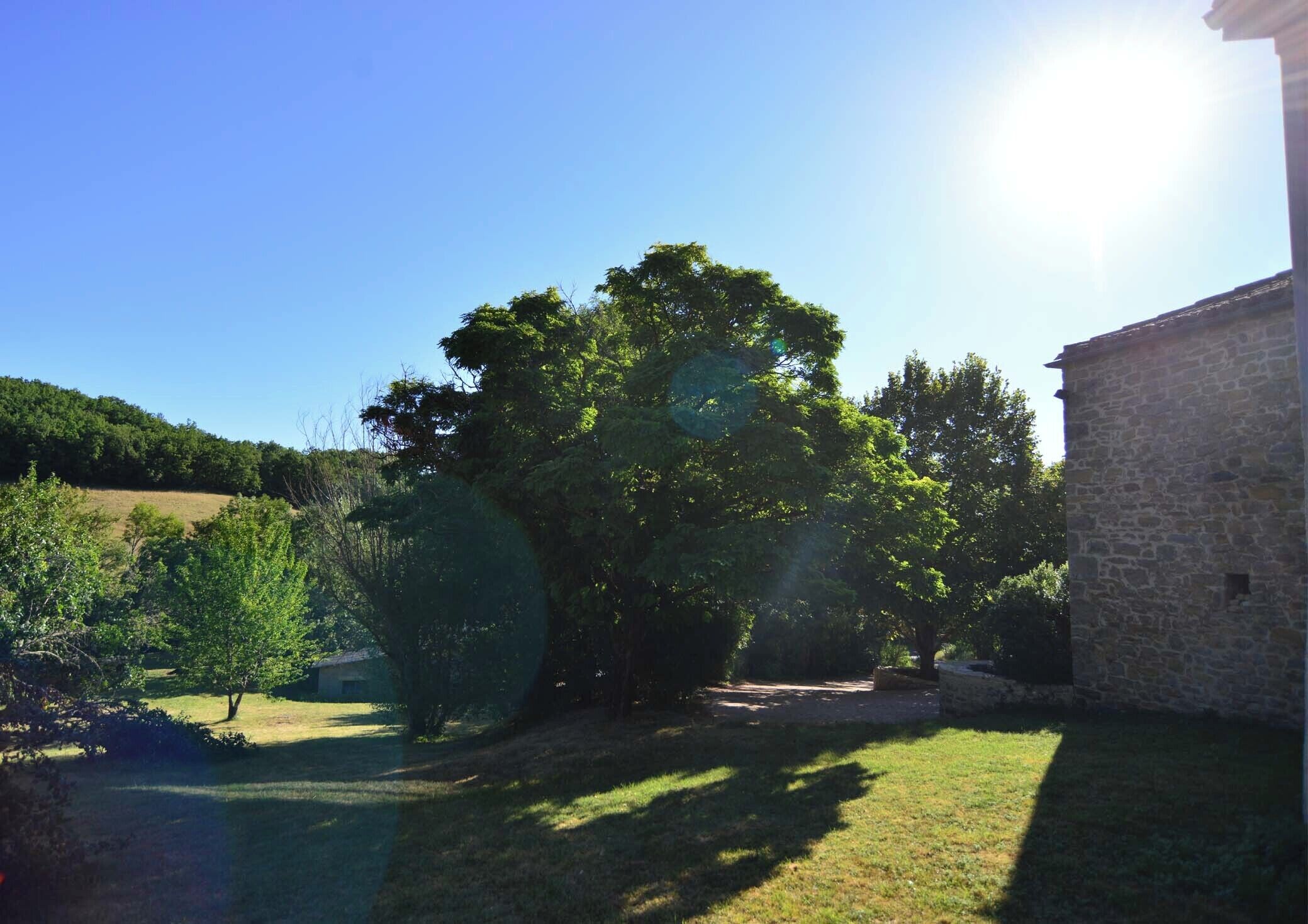 A stone building with a large tree in front.