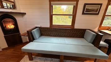 Smart TV, fireplace, books