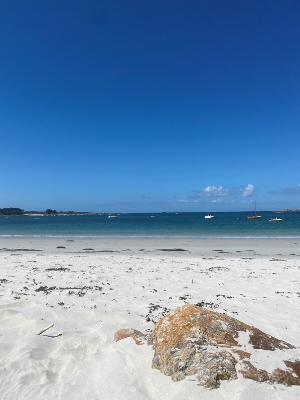 ビーチ、サンラウンジャー