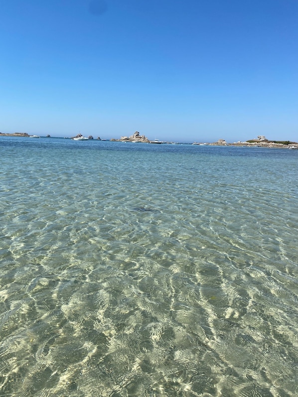 Plage, chaises longues