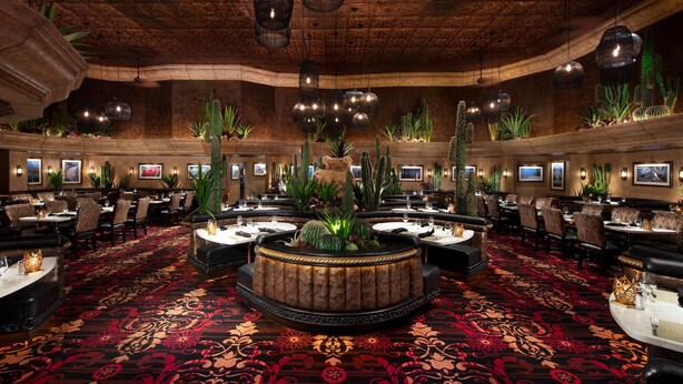 Un restaurante espacioso con barra central, varias mesas de comedor y una variedad de cactus y plantas.