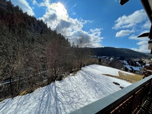 Property grounds - Ameisenpfad Todtmoos - Coziness and panorama - My SWH (Todtmoos)