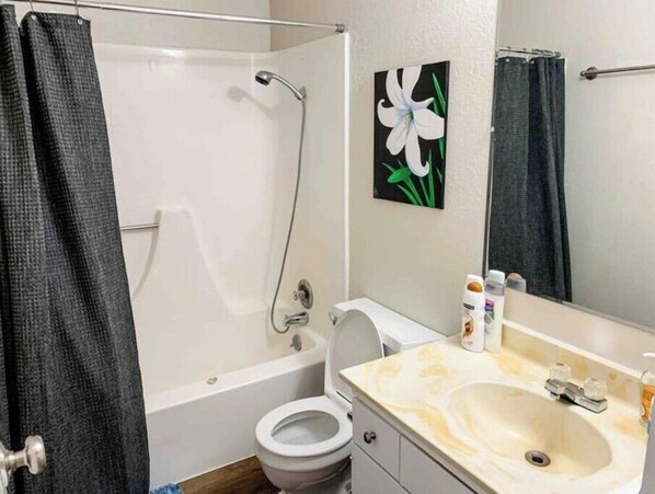 Sèche-cheveux, serviettes fournies, savon, papier toilette