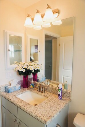 Shower, towels, soap, shampoo - Spacious bungalow with 5 bedrooms and WiFi, AC in welcoming Port Charlotte (Port Charlotte)