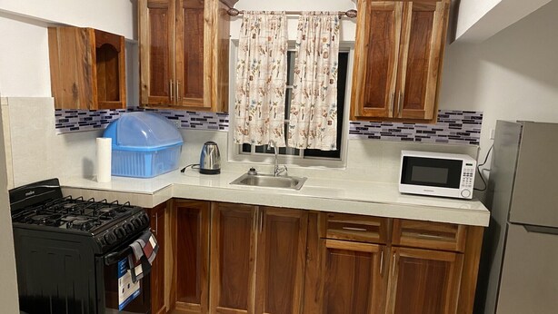 A compact kitchen with wooden cabinets, a gas stove, a microwave, and a sink.