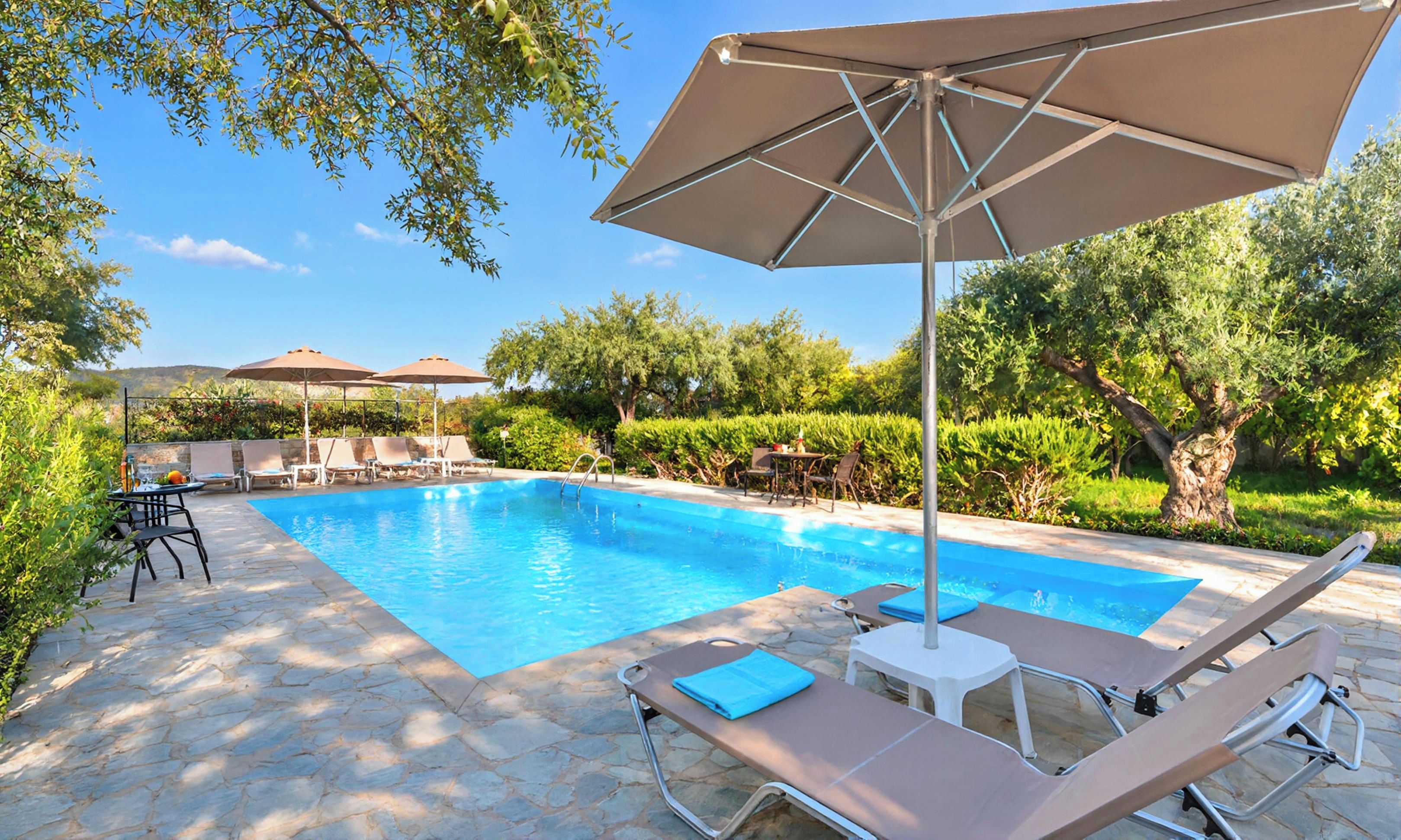 Une piscine entourée de verdure, avec des chaises longues et des parasols.