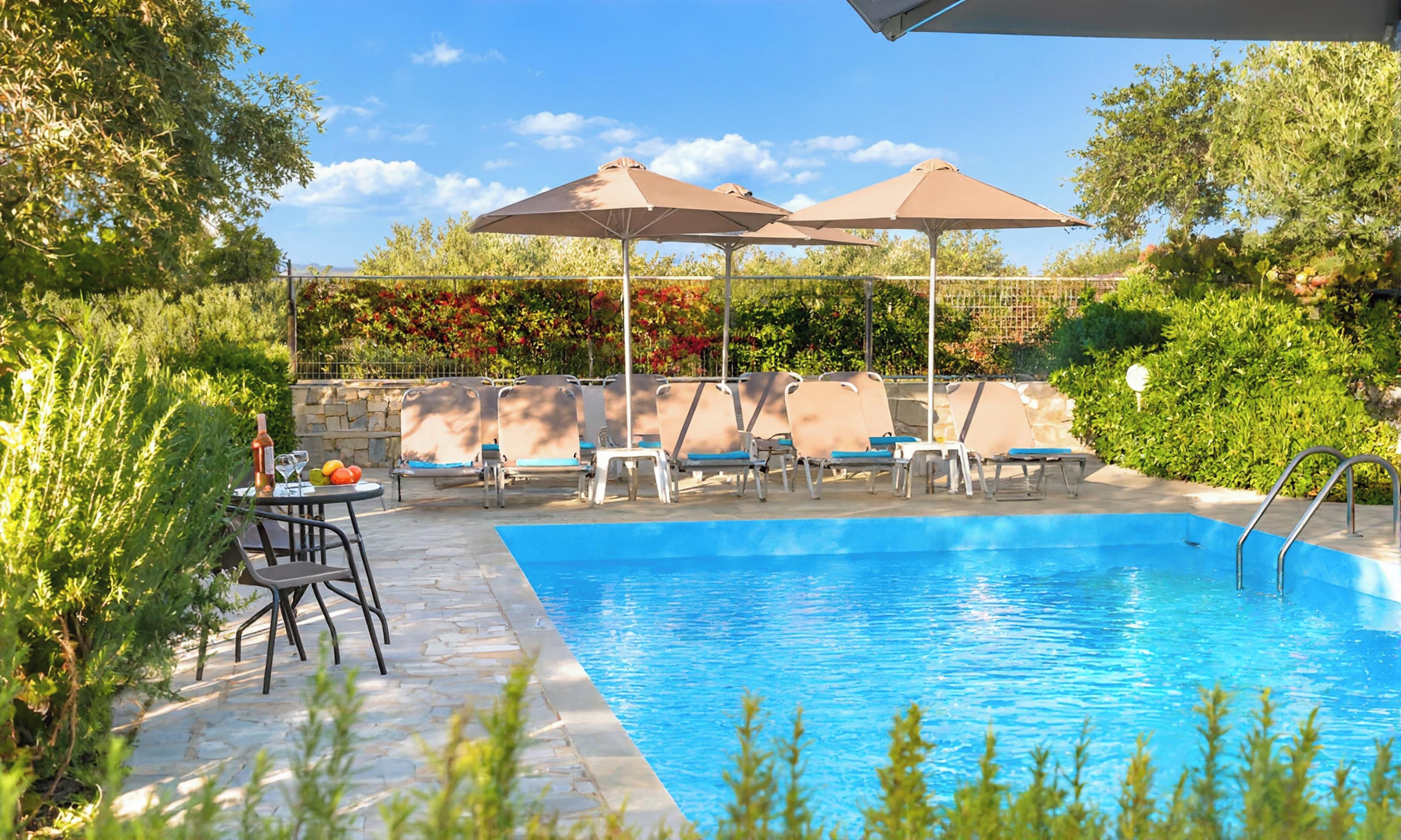 A swimming pool with lounge chairs and umbrellas, surrounded by greenery.