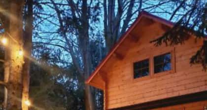 Belwood Bunkie Escape & Spa minutes away from Elora