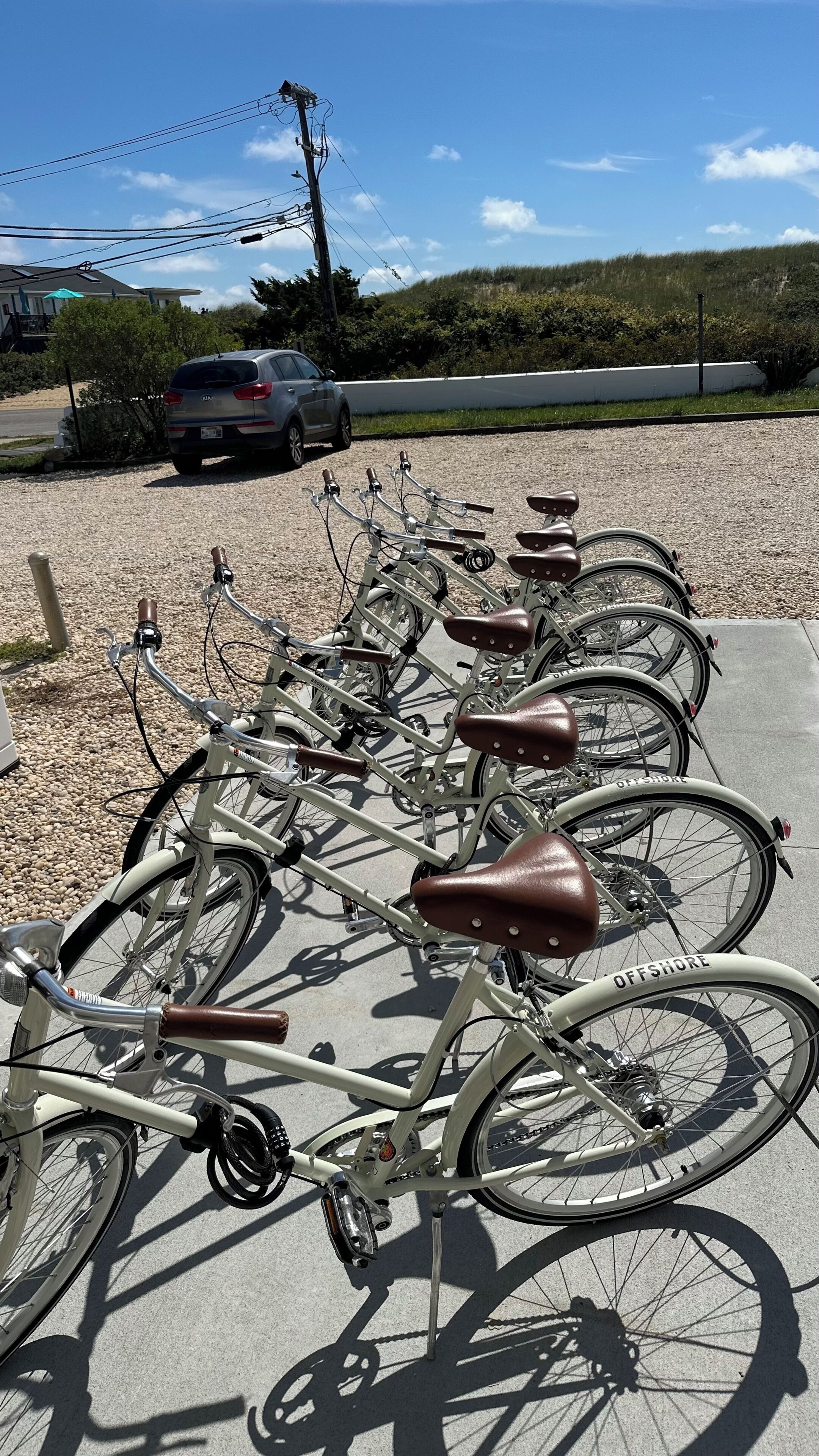 A row of bicycles parked on a concrete surface with a car and greenery in the background.