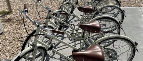 A row of bicycles parked on a concrete surface with a car and greenery in the background.
