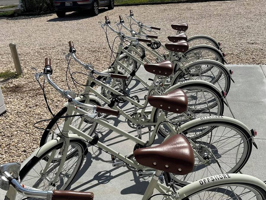A row of bicycles parked on a concrete surface with a car and greenery in the background.