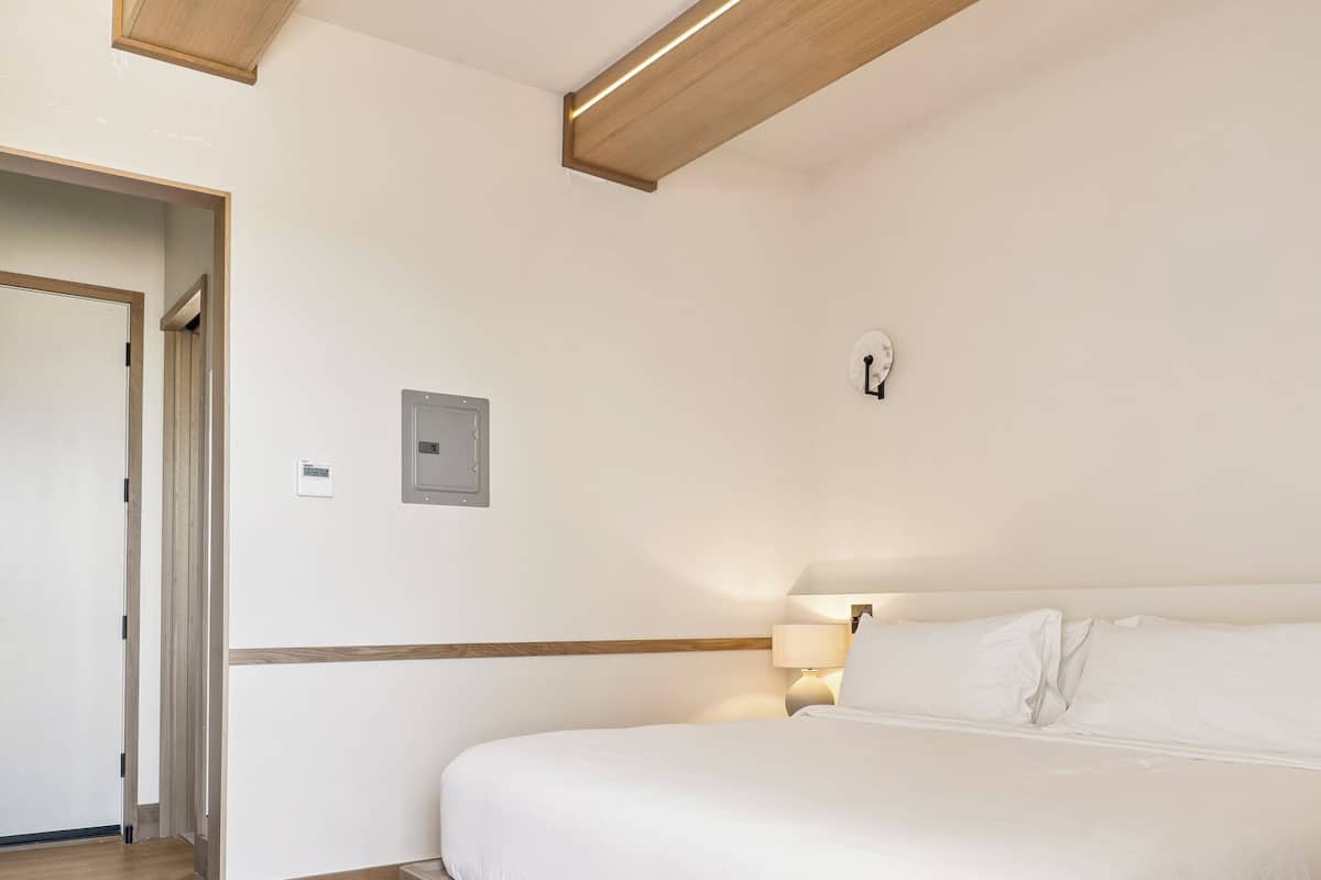 Une chambre d’hôtel moderne avec un plancher en bois, un grand lit avec une literie blanche, une table de chevet et un luminaire fixé au mur.