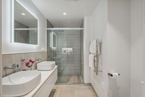 Shower, hair dryer