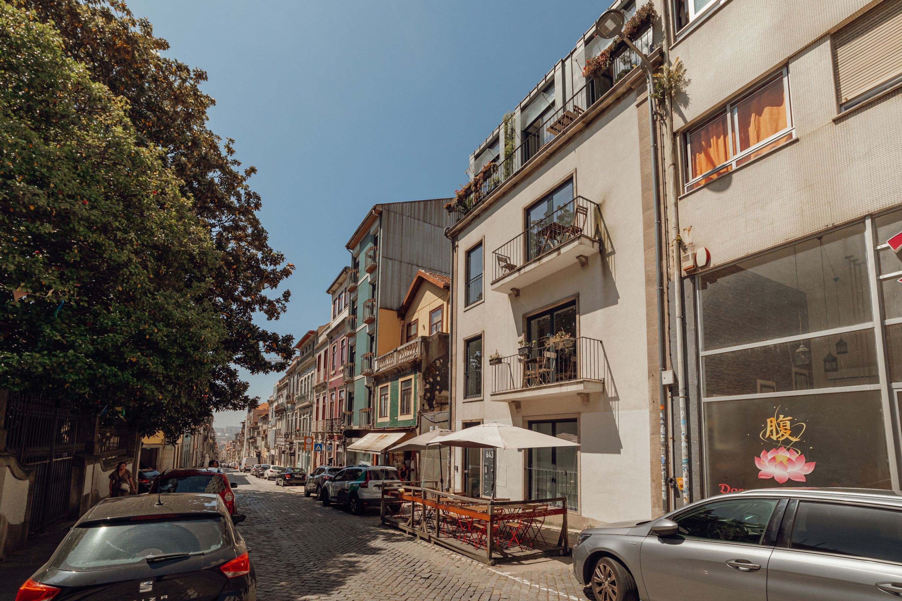 Une rue bordée d’immeubles, avec des voitures garées et un arbre.