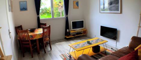 智能电视、DVD 播放器