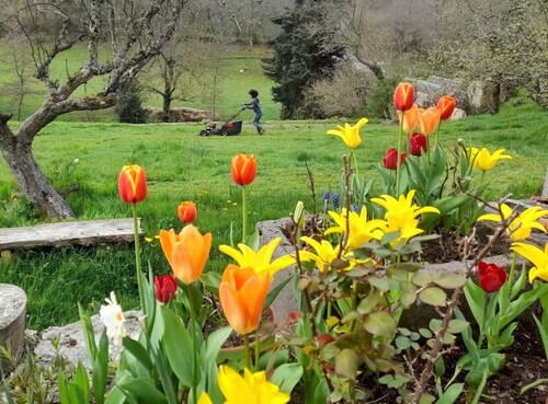 Grande maison de campagne proche parc des volcans, Vulcania etc. Idéale familles