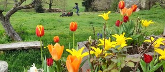 Large country house near Parc des Volcans, Vulcania etc. Ideal for families