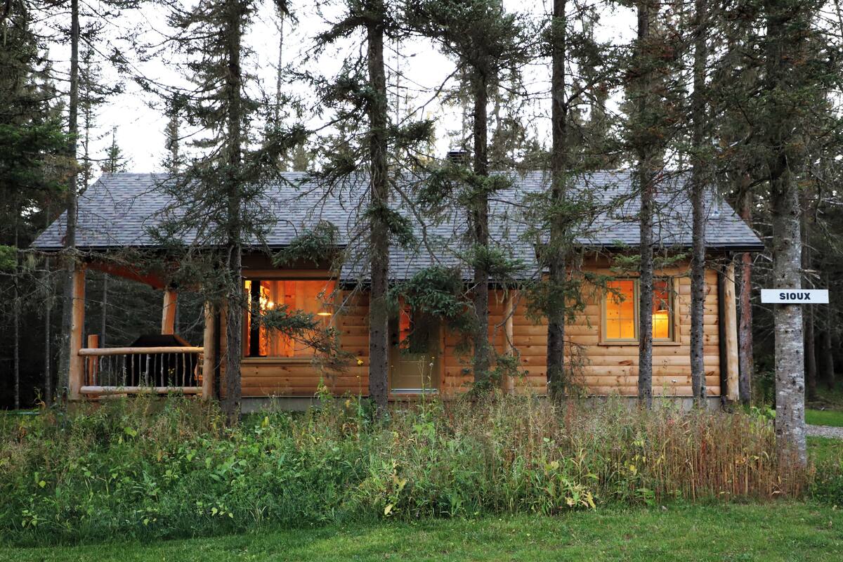 Une cabane en rondins avec un porche, entourée de grands arbres et de verdure.