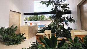 A modern interior with a large tree, seating area, and a view of the outside. - Chic studio with WiFi and AC in vibrant Playa del Carmen, centric and OV rooftop (Playa del Carmen)