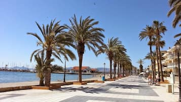 Une promenade en bord de mer bordée de palmiers, avec un chemin pavé et une vue sur la mer et les bâtiments situés au loin.
