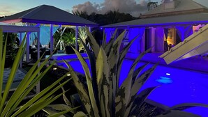A covered outdoor area with a pool, surrounded by tropical plants and illuminated by blue lighting.
