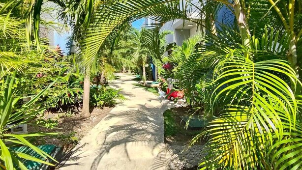 A pathway through a lush garden with palm trees and various plants, leading to a building with a modern design. - Beautiful house for rent, walking distance to the beach 1 bedroom plus sofabed (Playa del Carmen)