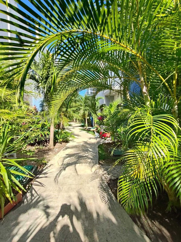 Property grounds - Beautiful house for rent, walking distance to the beach 1 bedroom plus sofabed (Playa del Carmen)