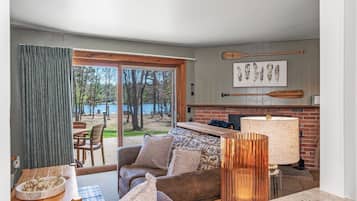 Télévision, cheminée, jeux vidéo, lecteur de DVD