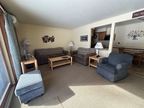 TV, fireplace, video games, DVD player