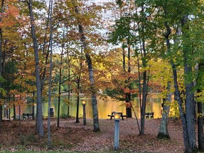 Een rustig park met bomen, banken en een picknicktafel.