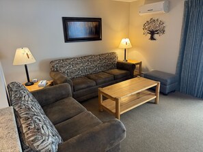 TV, fireplace, video games, DVD player