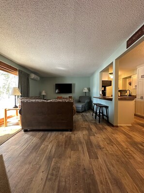 TV, fireplace, video games, DVD player