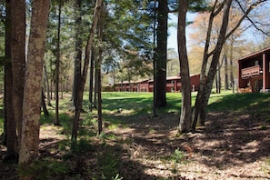 A forested area with a building featuring multiple windows and a balcony.