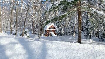 Terrain de l’hébergement