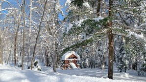A snow-covered forest with a wooden cabin.