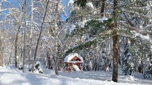 Una cabaña de madera cubierta de nieve en un bosque.