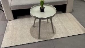 Un salon moderne avec un canapé gris, une petite table ronde ornée d’une plante en pot et un tapis gris.