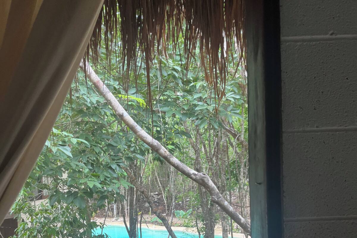 A view from a window with a curtain, overlooking a pool area surrounded by trees and a sandy beach.