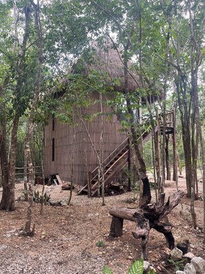 Terrace/patio - Sak lool (Francisco Uh May)