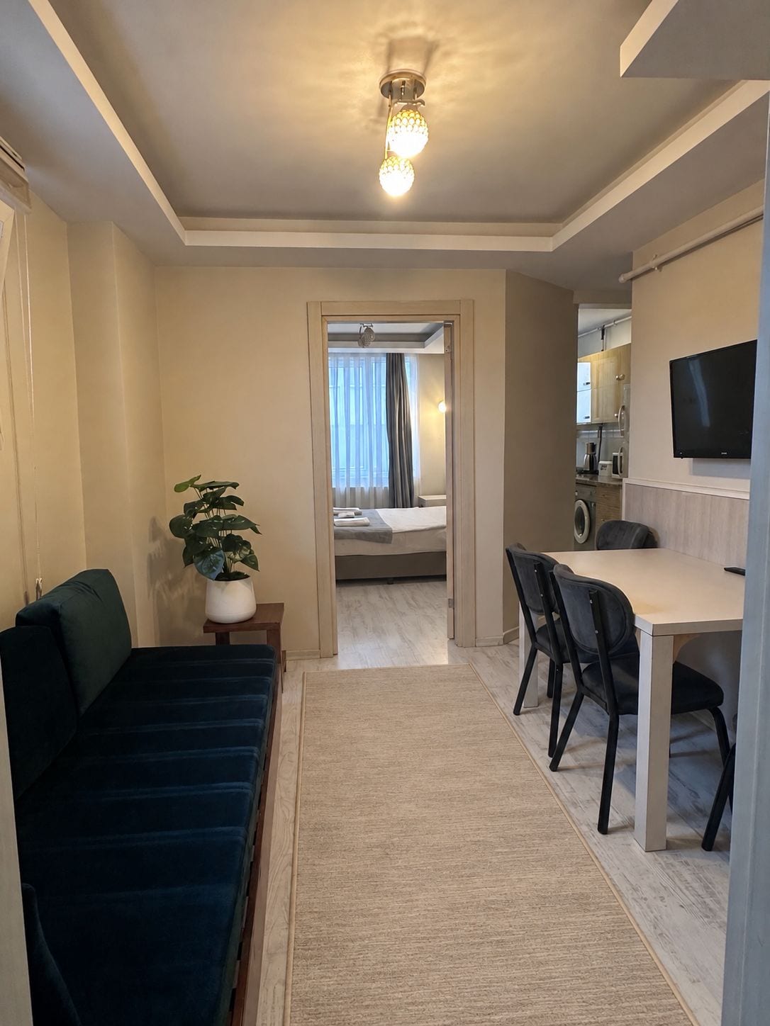 Una habitación de hotel con una cama, un escritorio, una silla, un televisor y una planta.