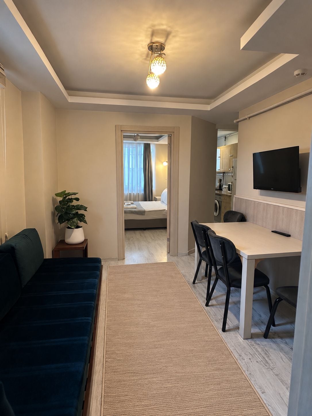 A hotel room with a bed, a desk, a TV, and a plant.