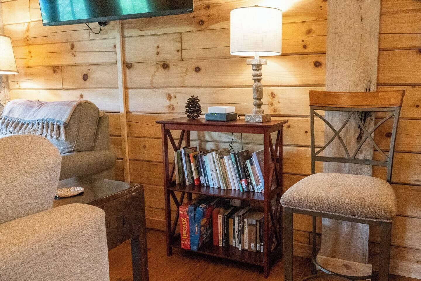 TV, fireplace