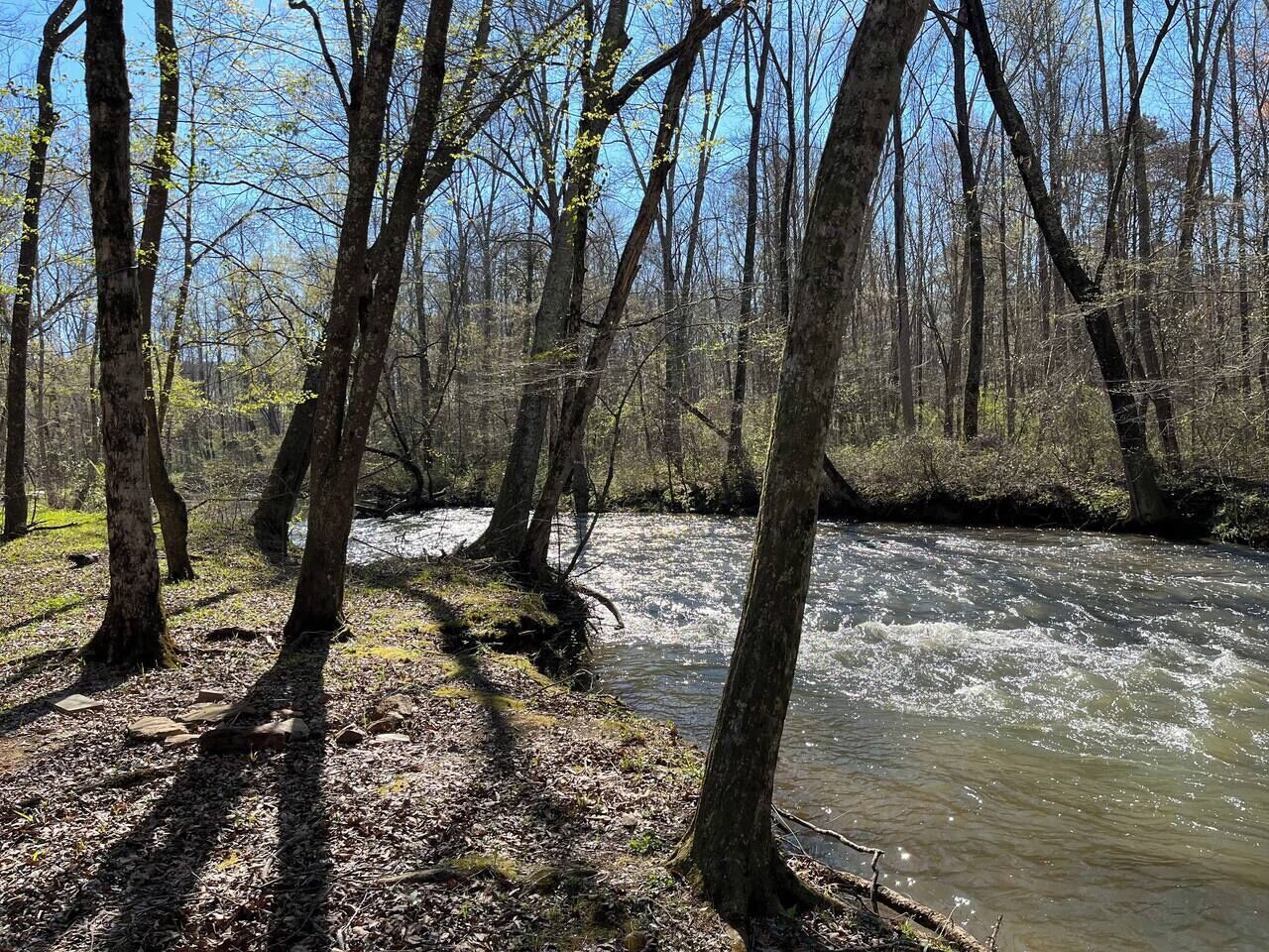 Une zone boisée traversée par une rivière.