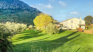 A rural house with a garden, a parked car, and a mountain in the background.