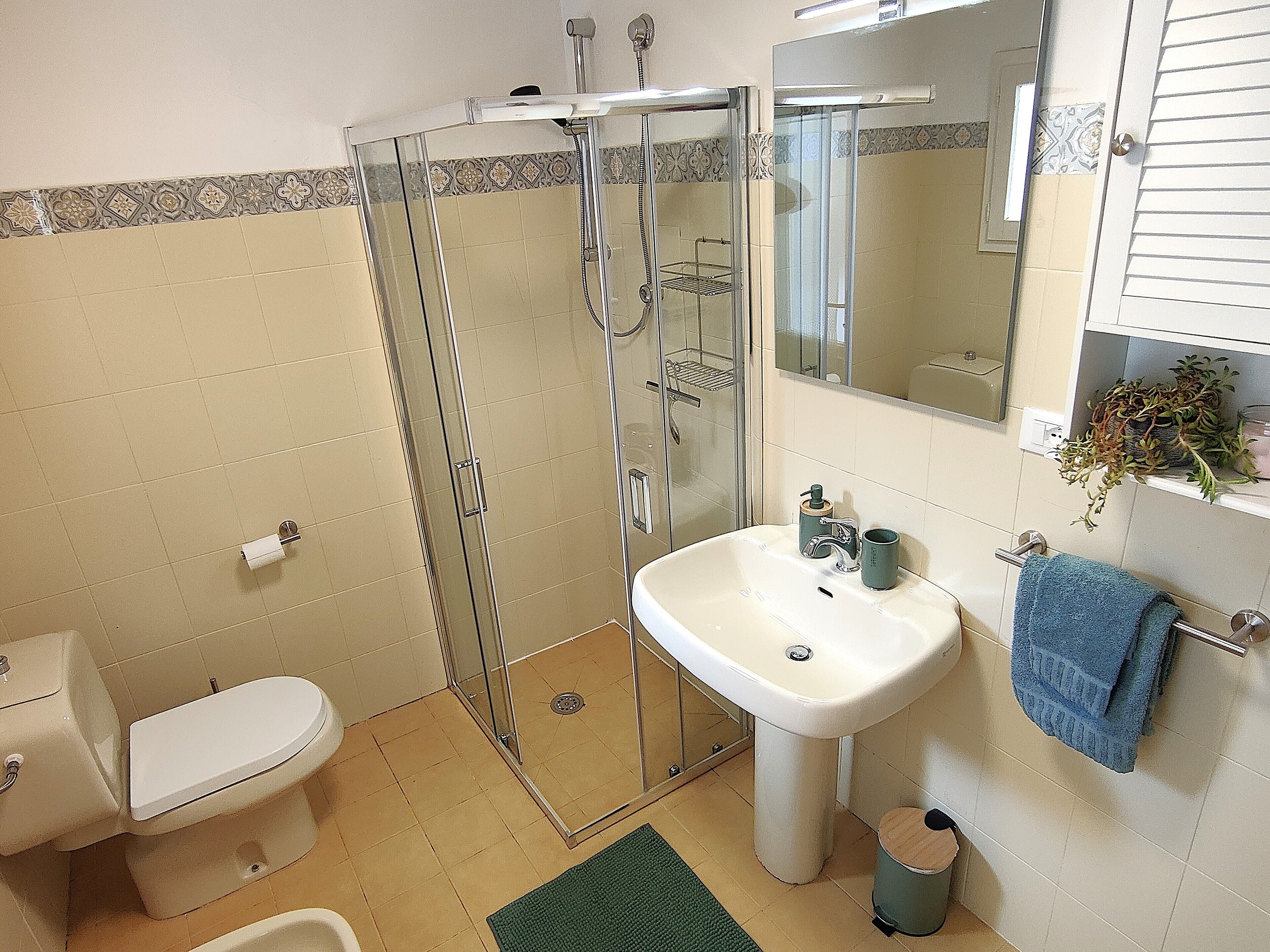 Haartrockner, Bidet, Handtücher, Seife