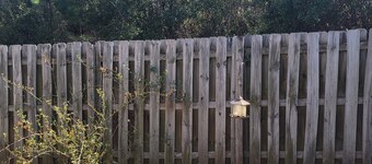 Unplug and Enjoy a cozy home with a backyard patio, grill, and free Wi-Fi.