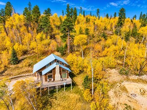 A cabin with a blue roof, surrounded by a forest with yellow foliage. - Mountain Escape by Terry Peak (Lead)